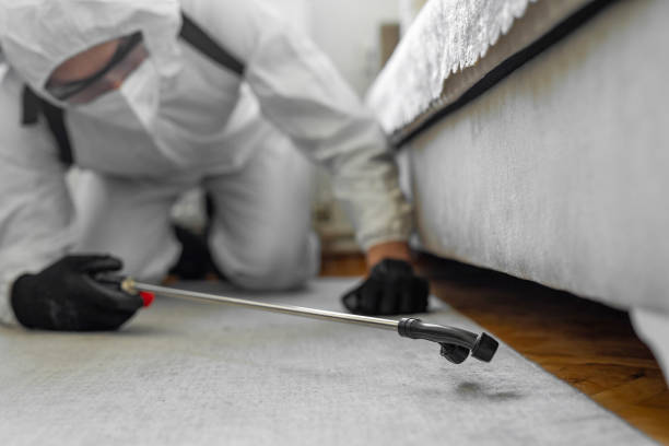 Professional Bed Bug Control technician working in Lumberton, MS