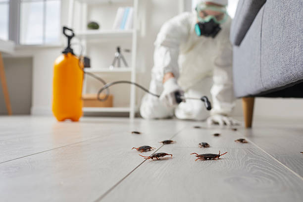 Trusted Cockroach Control service in Lumberton, MS - Nex Pest Control